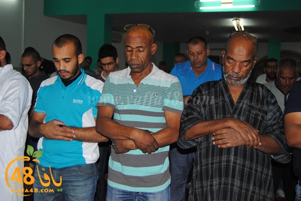 trawe7 zatona (15).JPG